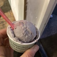Vegan ijs, smullen maar ! at De Smaecken Van Hamelink in Baarn