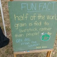 Moy Rico at Moy Rico in Victoria