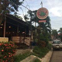 The outside of the restaurant. at El Sapo in Tamarindo