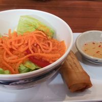 Salad with ginger dressing and veggie roll at Spice Thai in Port St Lucie