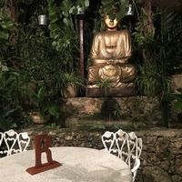 Garden at Casa Italia in Valladolid