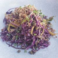 Really tasty fennel and caper salad at The Bridge Hotel in Castlemaine