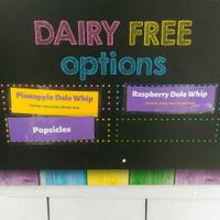 Vegan at Chicken Little Ice Cream in Bedford