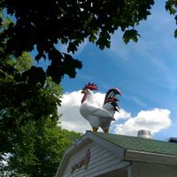 Rooster at Chicken Little Ice Cream in Bedford