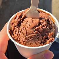 Vegan tortoise tracks at Fable Ice Cream in Saskatoon