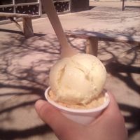 Lemonade and salted caramel at Fable Ice Cream in Saskatoon