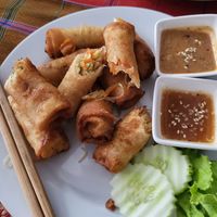 Fried springrolls, very tasty at May Kaidee in Bangkok