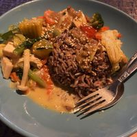 Green Curry with rice 🍛  at May Kaidee in Bangkok