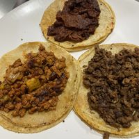   at Travelling Herbivore in Mexico City