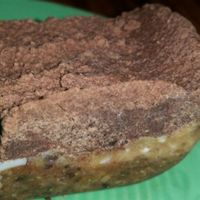 raw mocha brownie at Papa G's Vegan Organic Deli in Portland