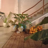 Nice interior at Koha Surf Cafe & Lounge in Unawatuna