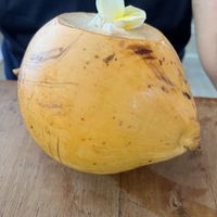 Coconuts   at Koha Surf Cafe & Lounge in Unawatuna