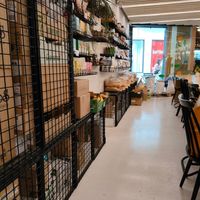  at Curcuma Green Food in Burgos