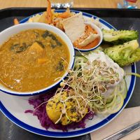 Lunch / Veggie bowl with red lentil dahl plus lots of veggies at Curcuma Green Food in Burgos