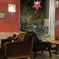 Dog-friendly place at Bar Favela in Helsinki
