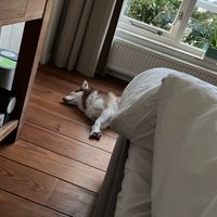   at B&B Kahakai in De Koog