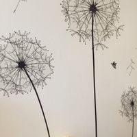 Dandelions at Dandelion :) at Dandelion Gifts & Coffee Shop in Royal Wootton Bassett