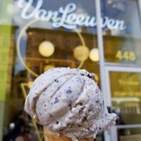 Vegan mint chip at Van Leeuwen Ice Cream - Upper West Side in New York City