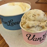 Here is what I bought (cones are available as well) at Van Leeuwen Ice Cream - Upper East Side in New York City