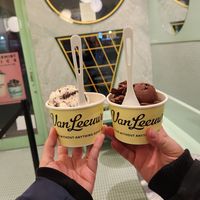 Cookies and Cream Caramel Swirl and Dark Chocolate Fudge at Van Leeuwen Ice Cream - Upper East Side in New York City