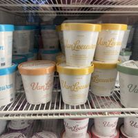 Vegan ice cream selections. (Mint Chip, Peanut Butter Brownie Honeycomb, Pistachio) at Van Leeuwen Ice Cream - Nolita in New York City