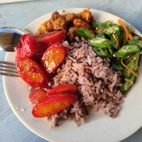 Brown rice buffet at Bahagia 幸福素食馆 in Johor Bahru