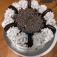 Vegan Oreo ice cream cake at Casanova Gelato in Cork