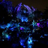 Pandora at night at Walt Disney World - Satu'li Canteen in Lake Buena Vista