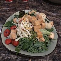 Fried tofu and slaw at Walt Disney World - Satu'li Canteen in Lake Buena Vista