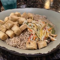 Crispy tofu with rice at Walt Disney World - Satu'li Canteen in Lake Buena Vista