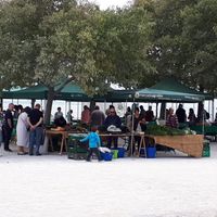 Saturday morning at Agrobio in Lisbon