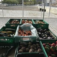 Legumes at Agrobio in Lisbon