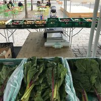 Verguem-se at Agrobio in Lisbon