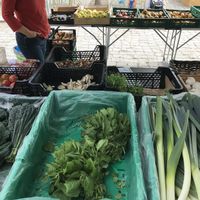 Legumes at Agrobio in Lisbon