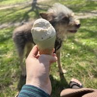 Vanille und Matchs Eis  at Eisdielerin in Cologne