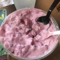 Vegan whip/tofu made vegan yogurt !!! at Simply Vegan by Silly's in Portland