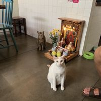   at Passengers in Ho Chi Minh City