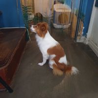  at Passengers in Ho Chi Minh City