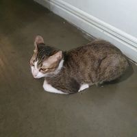  at Passengers in Ho Chi Minh City