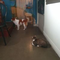  at Passengers in Ho Chi Minh City