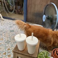   at Passengers in Ho Chi Minh City