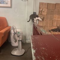   at Passengers in Ho Chi Minh City