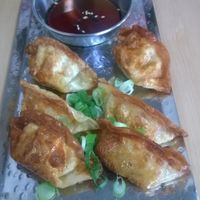 Fried veggie dumplings at Kimchi Planet in Newcastle Upon Tyne