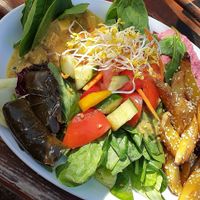 Vegan Option at Schleusenkrug in Berlin