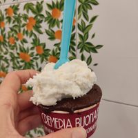 Almond and dark chocolate vegan ice cream at Box-Cream in Genoa