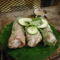 vegan summer rolls at Inside Cafe in Guanajuato