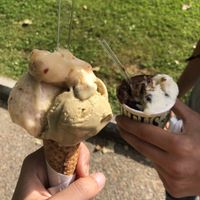 pistacchio, mela , stracciapera e cioccolato al peperoncino tutti vegani  at Gelateria Rufus in Pisa