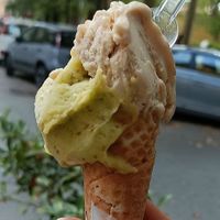  at Gelateria Rufus in Pisa