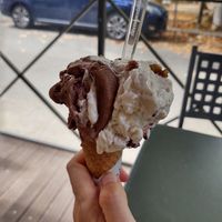 Vegan gianduia blackberry e noce at Gelateria Rufus in Pisa