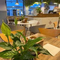  at Pierozak in Poznan